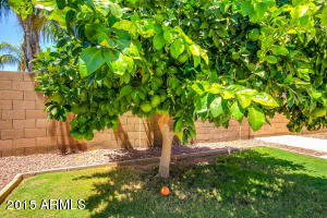 4097 E Del Rio St, Gilbert, AZ 85295 photo 36