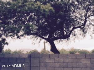1434 W 17th Ave, Apache Junction, AZ 85120 photo 31