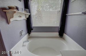 1434 W 17th Ave, Apache Junction, AZ 85120 photo 20