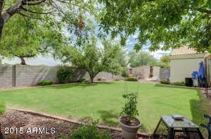 1434 W 17th Ave, Apache Junction, AZ 85120 photo 26