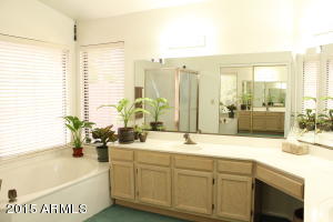  1202 W Sherri Dr, Gilbert, AZ 85233 photo 12