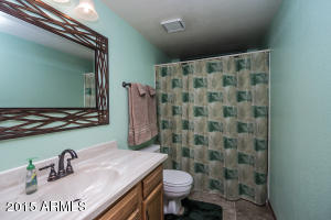 4229 E Windsong Dr, Phoenix, AZ 85048 photo 26
