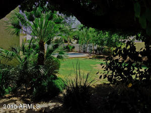 3449 E Clark Rd, Phoenix, AZ 85050 photo 16