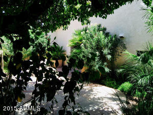3449 E Clark Rd, Phoenix, AZ 85050 photo 45