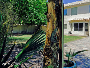 3449 E Clark Rd, Phoenix, AZ 85050 photo 43