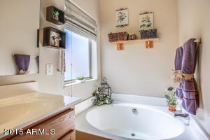 11265 E Roselle Cir, Mesa, AZ 85212 photo 25