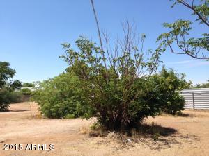 6705 E Adobe St, Mesa, AZ 85205 photo 26