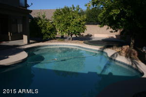 10165 E Olla Ave, Mesa, AZ 85212 photo 44