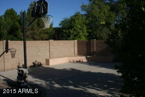 10165 E Olla Ave, Mesa, AZ 85212 photo 39