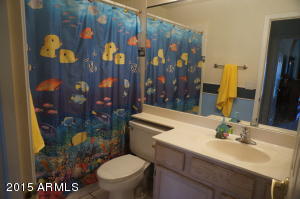 1125 E Harbor View Dr, Gilbert, AZ 85234 photo 5