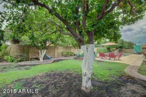 1904 E Hackamore St, Mesa, AZ 85203 photo 43