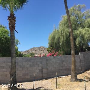 4516 E Olney Dr, Phoenix, AZ 85044 photo 6