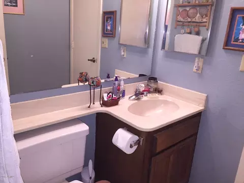 4414 E Hubbell St #69, Phoenix, AZ 85008 photo 9