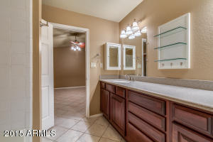 463 E Hackamore St, Mesa, AZ 85203 photo 42