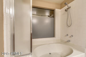 463 E Hackamore St, Mesa, AZ 85203 photo 41