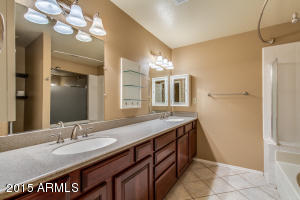463 E Hackamore St, Mesa, AZ 85203 photo 40