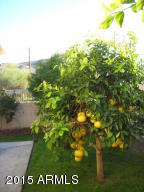 3429 E Francisco Dr, Phoenix, AZ 85042 photo 31