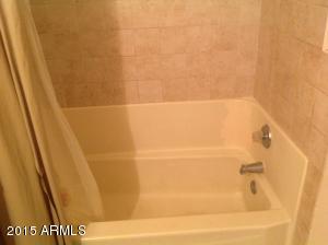 8029 E Jacob Ave, Mesa, AZ 85208 photo 18