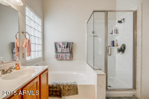 7411 E Mclellan Rd, Mesa, AZ 85207 photo 19