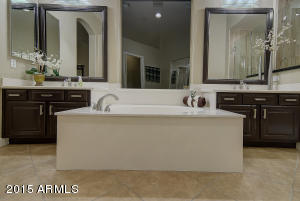 1413 N Bernard St, Mesa, AZ 85207 photo 22