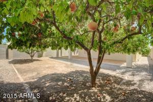 1882 E Brentrup Dr, Tempe, AZ 85283 photo 35