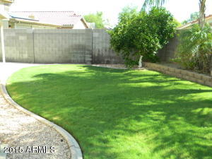 685 S Roca St, Gilbert, AZ 85296 photo 25