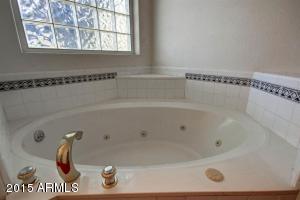1150 N Williams --, Mesa, AZ 85203 photo 13