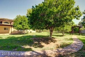 1150 N Williams --, Mesa, AZ 85203 photo 16