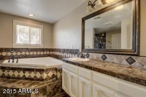905 E Millett Ave, Mesa, AZ 85204 photo 25