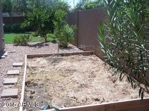 2835 E Harrison St, Gilbert, AZ 85295 photo 23