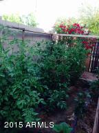 2835 E Harrison St, Gilbert, AZ 85295 photo 22