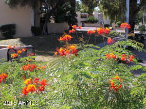 4201 E Camelback Rd #84, Phoenix, AZ 85018 photo 27