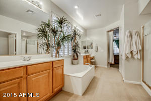1917 S Pheasant Dr, Gilbert, AZ 85295 photo 26