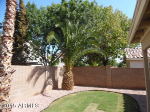 25 N Cholla St, Gilbert, AZ 85233 photo 25