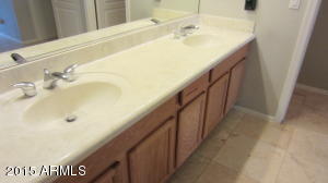 11225 Ellis St, Mesa, AZ 85207 photo 23