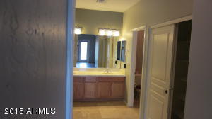 11225 Ellis St, Mesa, AZ 85207 photo 19