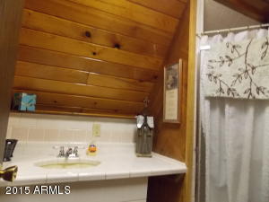 2886 Big Pine Rd, Overgaard, AZ 85933 photo 7