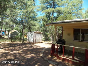 2886 Big Pine Rd, Overgaard, AZ 85933 photo 18