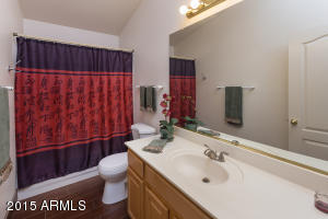 1147 E Orchid Ln, Gilbert, AZ 85296 photo 15