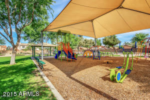 1147 E Orchid Ln, Gilbert, AZ 85296 photo 21