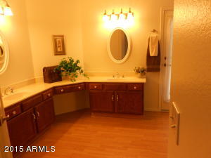 2863 E Leonora St, Mesa, AZ 85213 photo 5