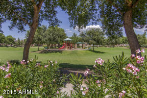 4105 E Tyson St, Gilbert, AZ 85295 photo 24