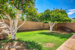 2313 E Knoll Cir, Mesa, AZ 85213 photo 36