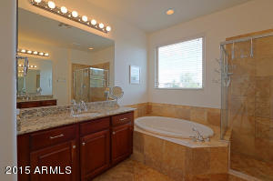 3847 E Matthew Dr, Phoenix, AZ 85050 photo 39