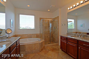 3847 E Matthew Dr, Phoenix, AZ 85050 photo 37