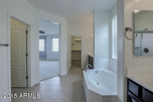 1960 E Stacey Rd, Gilbert, AZ 85298 photo 19