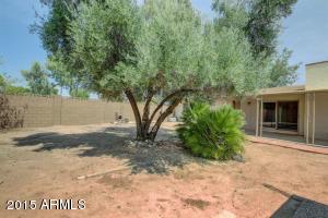2302 W Impala Ave, Mesa, AZ 85202 photo 27
