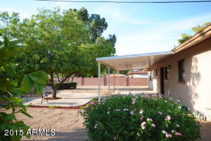 10002 N 30th St, Phoenix, AZ 85028 photo 19