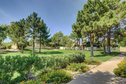 75 E Calle De Arcos --, Tempe, AZ 85284 photo 5