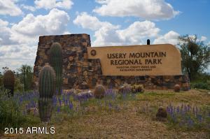 1689 S Desert View Pl, Apache Junction, AZ 85120 photo 13